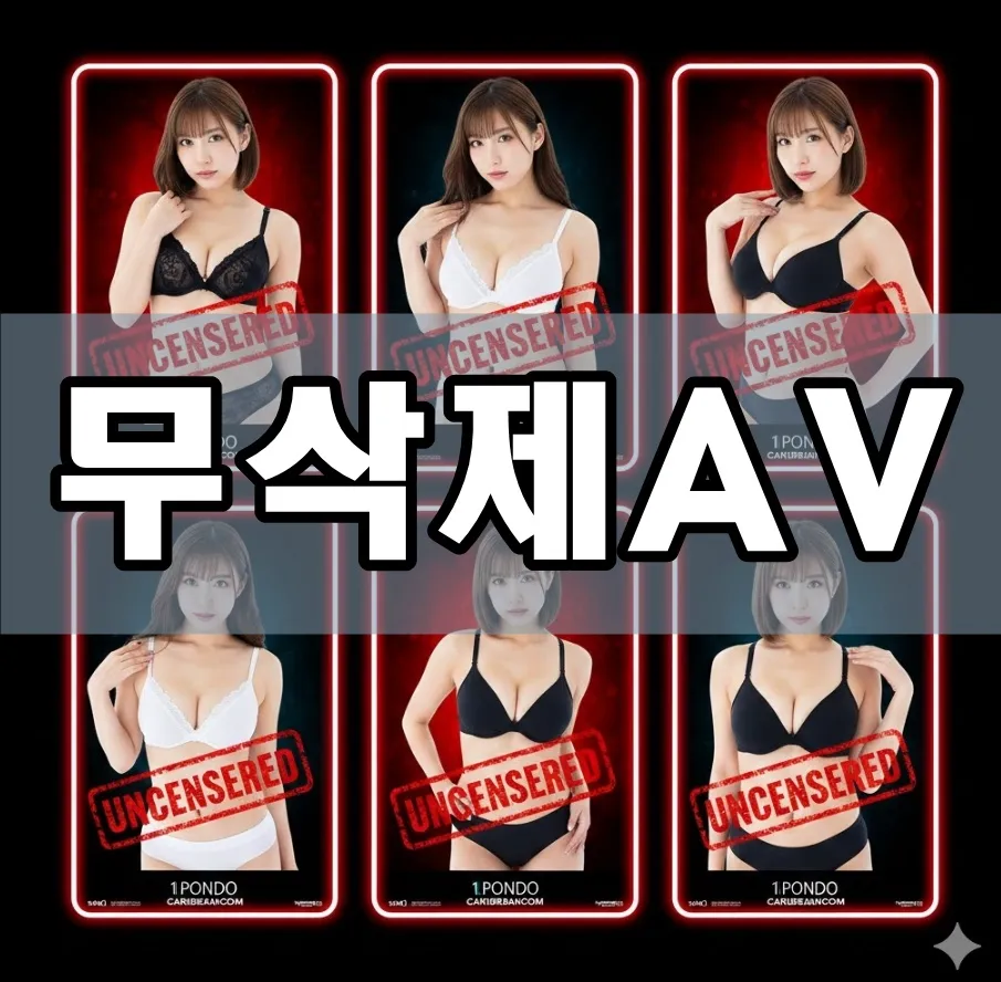 무삭제AV 표지 무삭제AV 표지